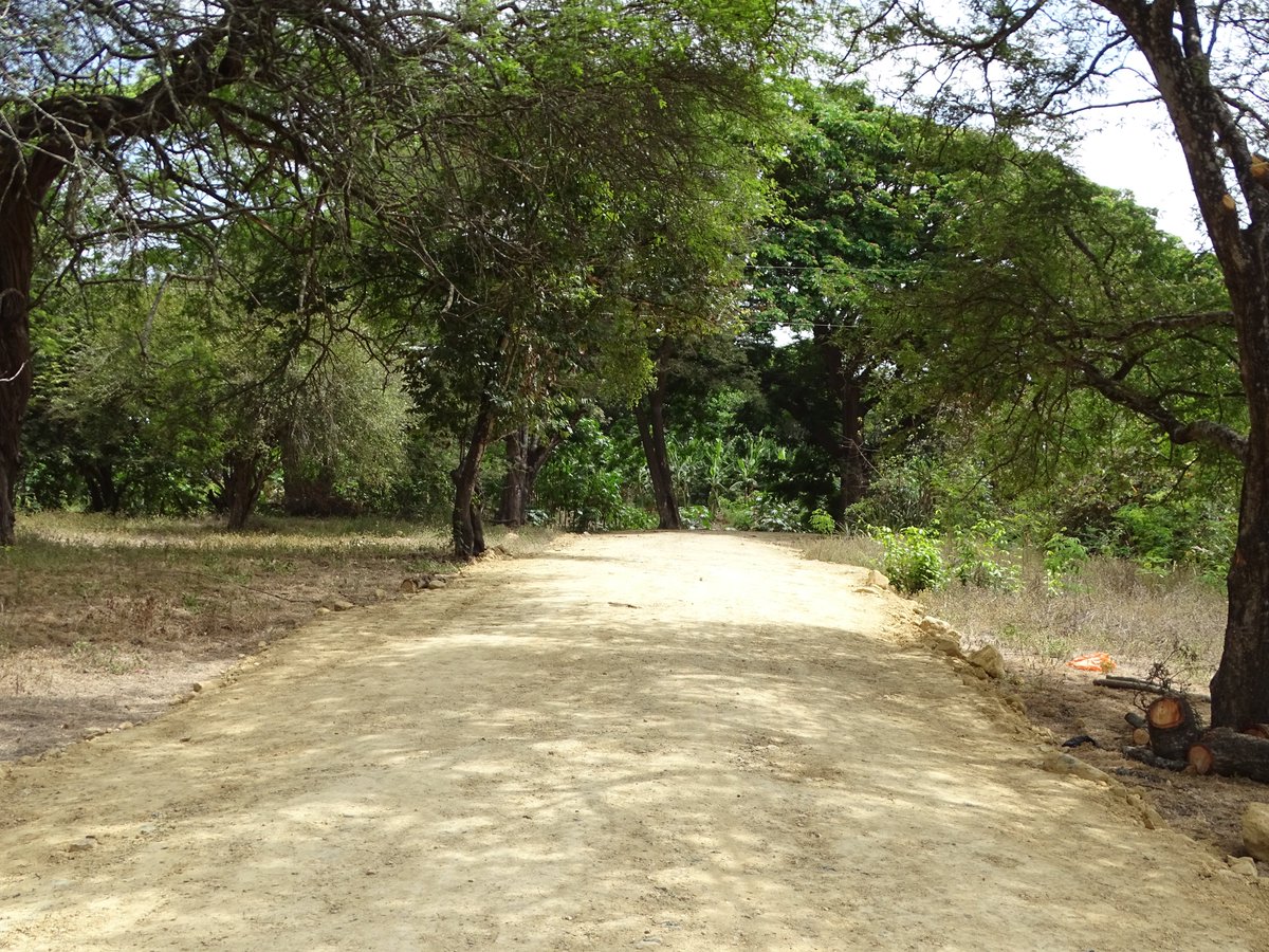 Mejoran camino vecinal en Puerto Los Flojos con apoyo de la Prefectura