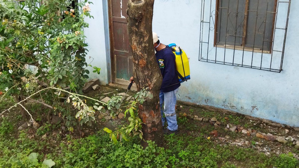 Fumigan avenida El Telégrafo en Lomas de Sargentillo para controlar maleza