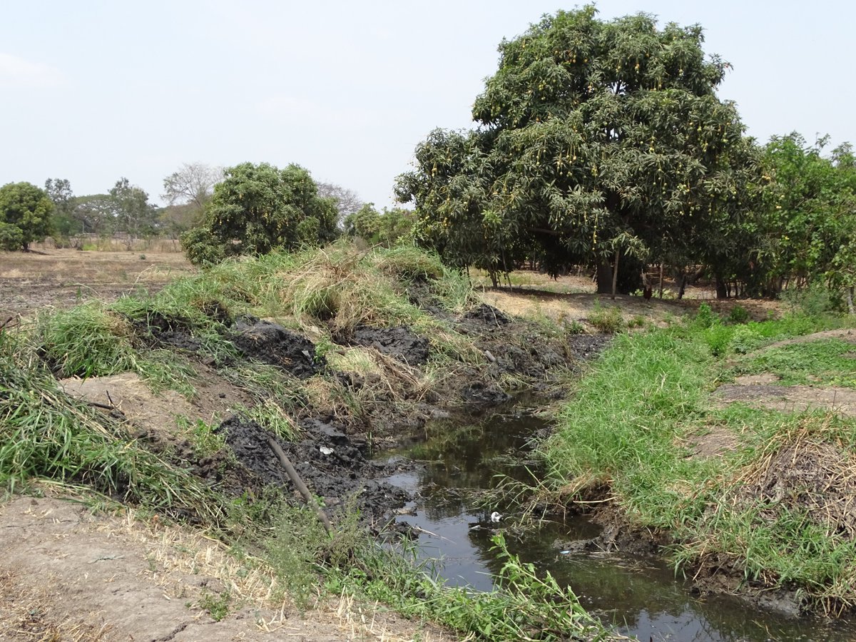 Lomas de Sargentillo inicia limpieza de canales para prevenir inundaciones invernales